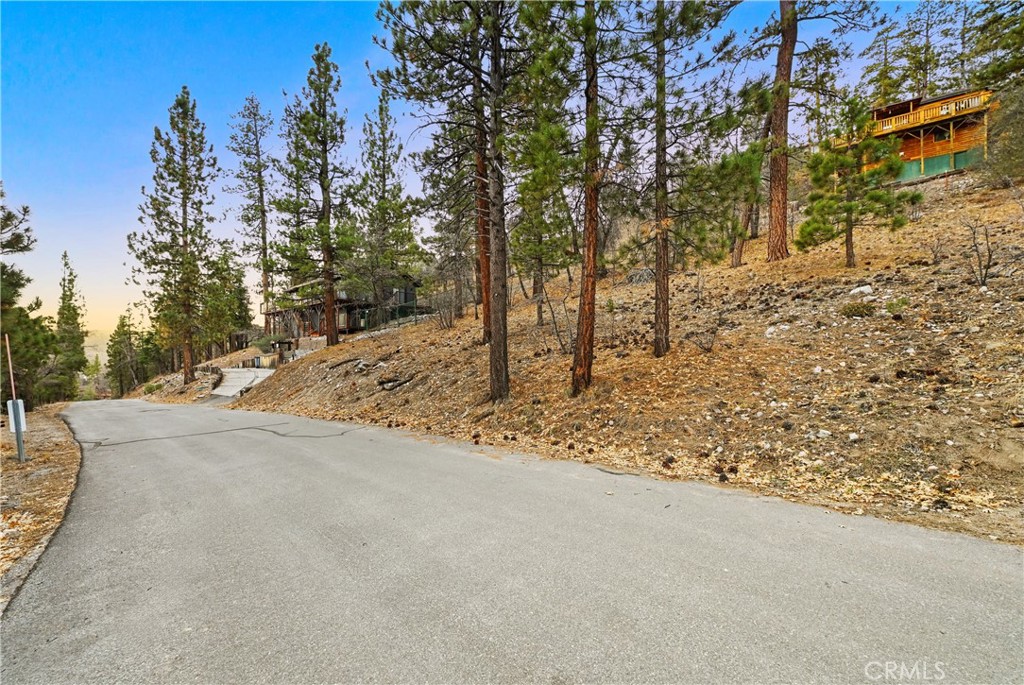 1237 Ridge Road Fawnskin, CA 92333 - Photo 11 of 28 a view of a yard with tree s