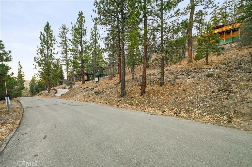 1237 Ridge Road Fawnskin, CA 92333 - Photo 12 of 28 a view of a yard with tree s