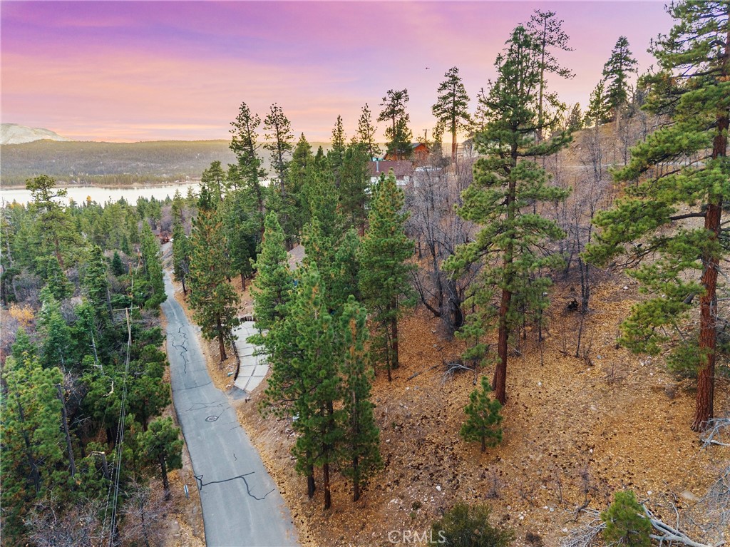 1237 Ridge Road Fawnskin, CA 92333 - Photo 13 of 28 a view of a city with lush green forest