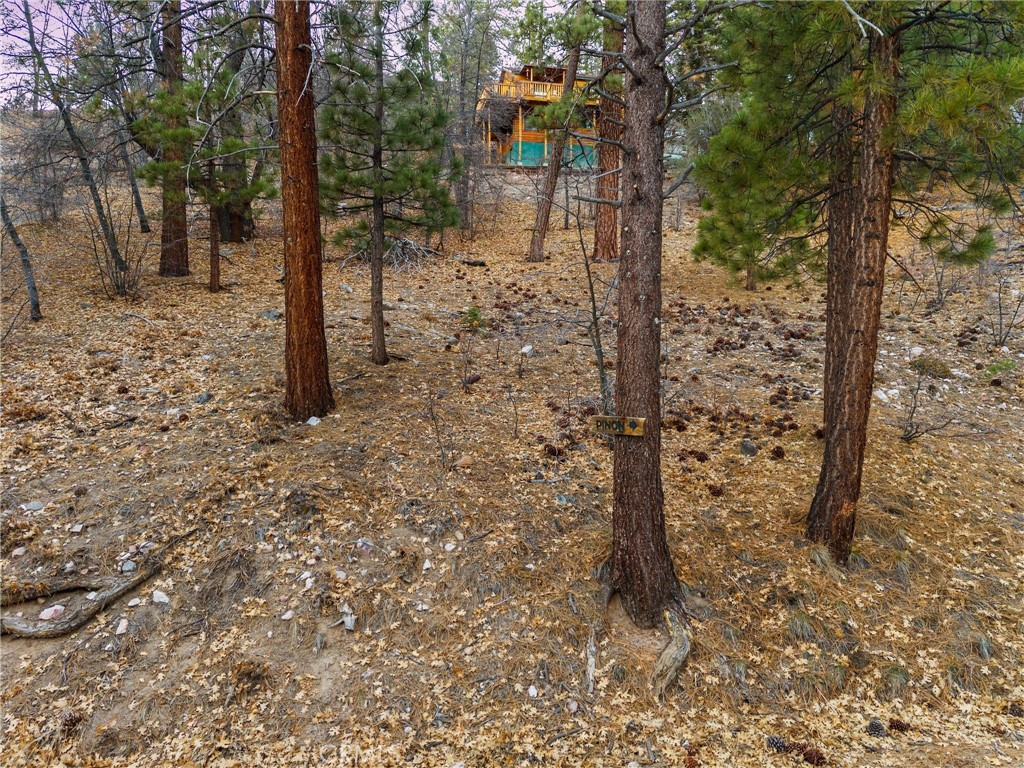 1237 Ridge Road Fawnskin, CA 92333 - Photo 2 of 28 a backyard of a house with lots of green space