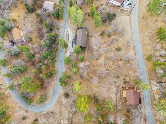 a view of a plant in a garden