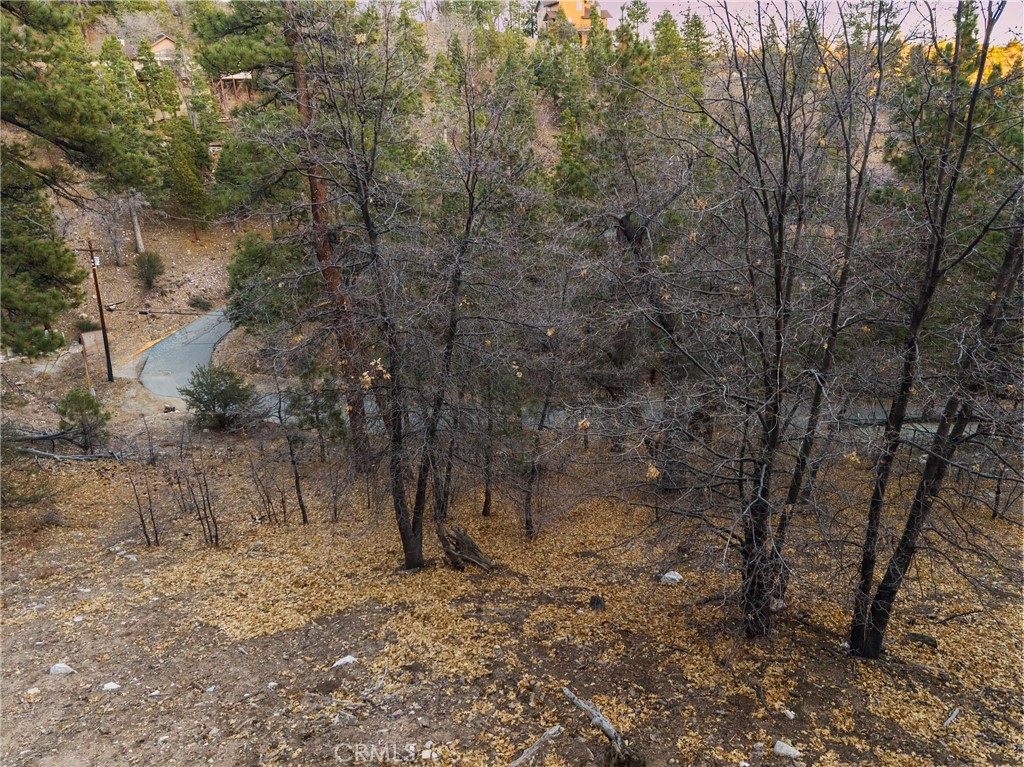 1237 Ridge Road Fawnskin, CA 92333 - Photo 24 of 28 a view of a forest filled with trees