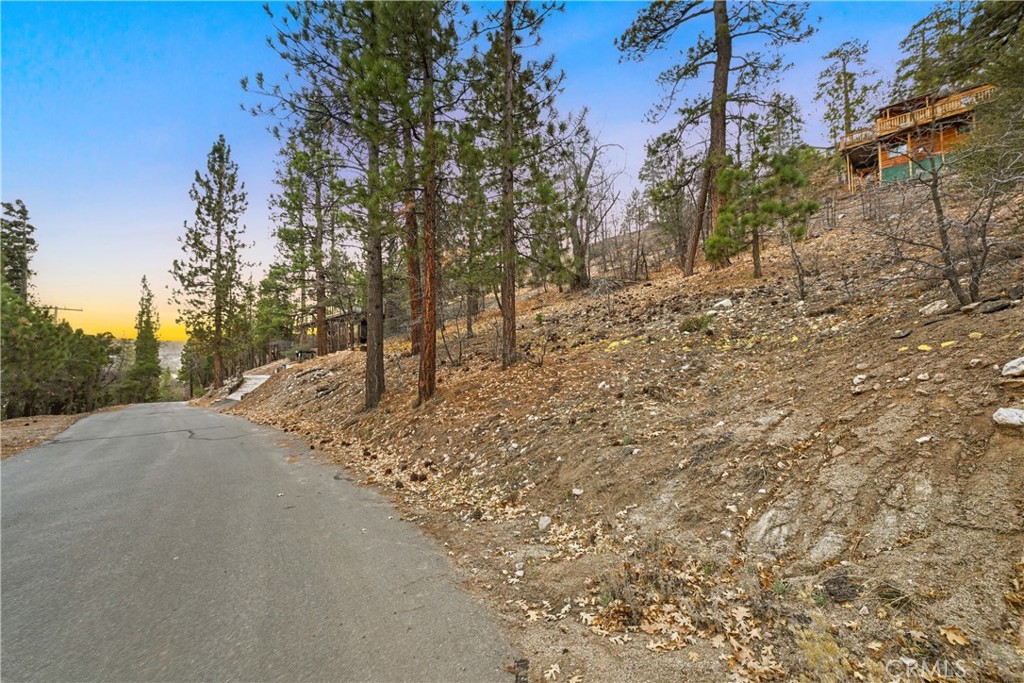 1237 Ridge Road Fawnskin, CA 92333 - Photo 5 of 28 a view of a yard with a tree