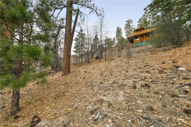 a backyard of a house with large trees