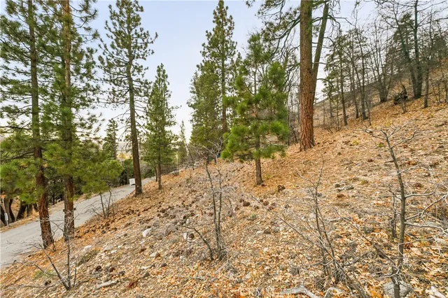 a view of snow on the road