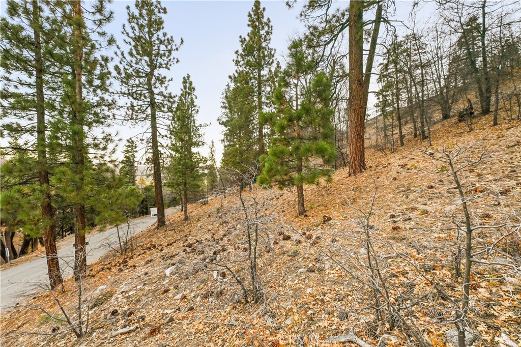 1237 Ridge Road Fawnskin, CA 92333 - Photo 9 of 28 a view of snow on the road