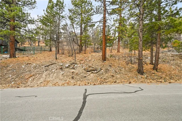 a view of a yard covered with snow in the front of statue