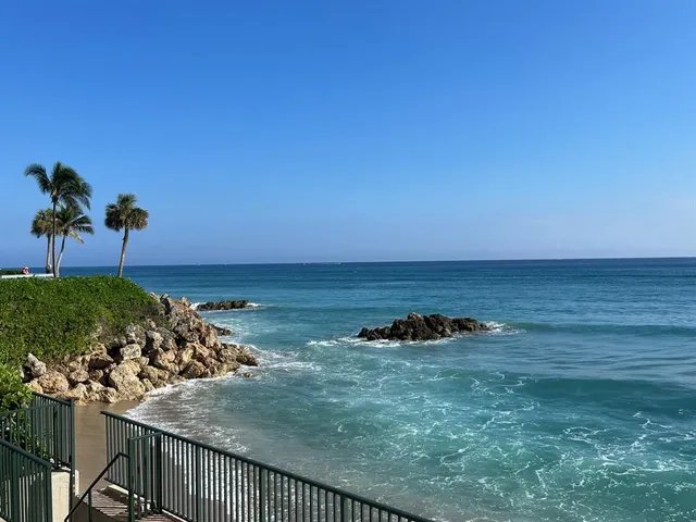 a view of a terrace with chairs