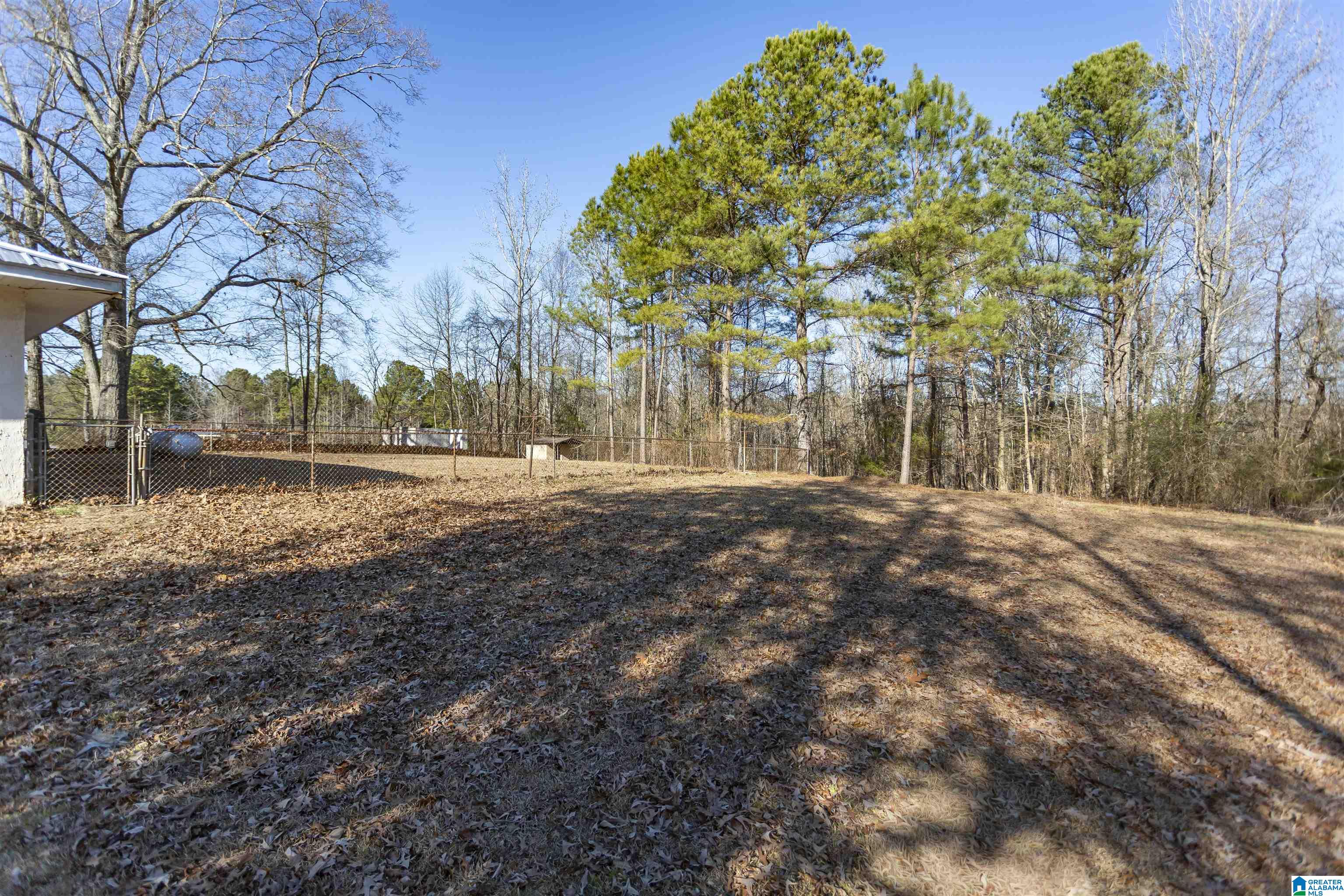 9333 Central Road Warrior, AL 35180 - Photo 36 of 40