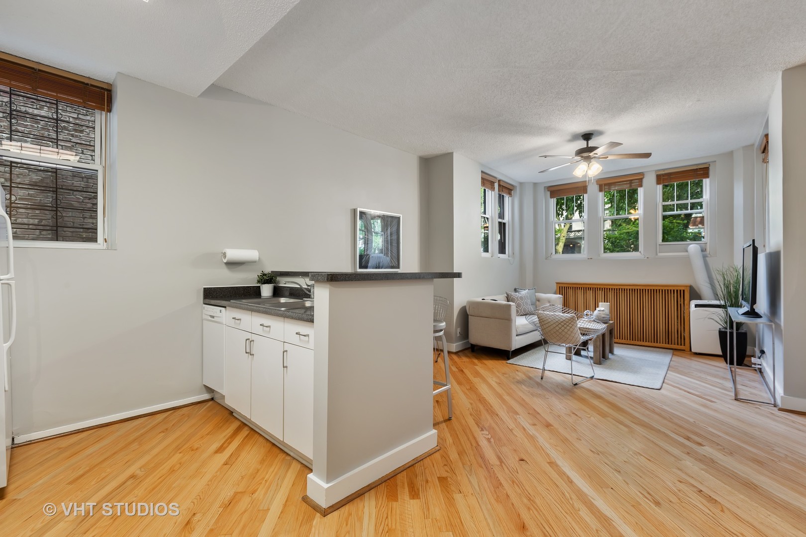 647 West Sheridan Road, Unit 1E Chicago, IL 60613 - Photo 8 of 18