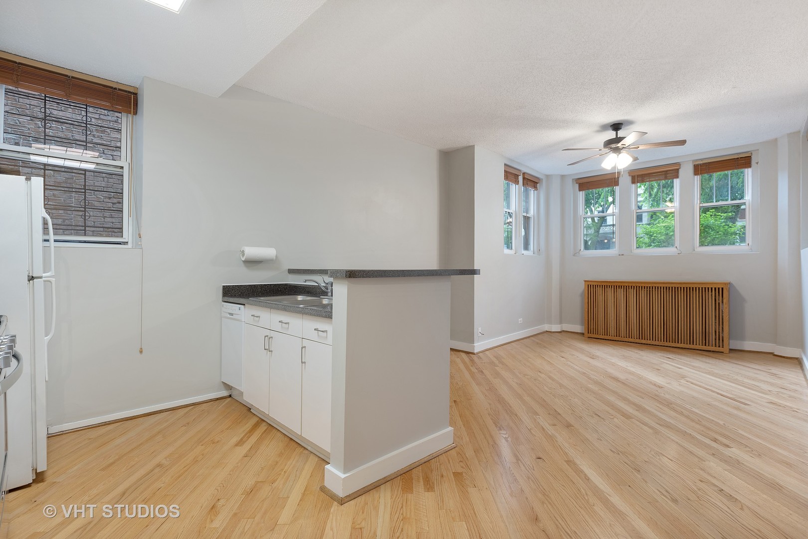 647 West Sheridan Road, Unit 1E Chicago, IL 60613 - Photo 9 of 18