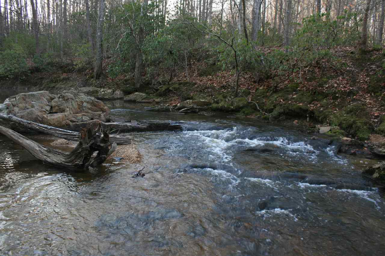 1452 Courthouse Road Palmyra, VA 22963 - Photo 31 of 44 a view of a forest with trees