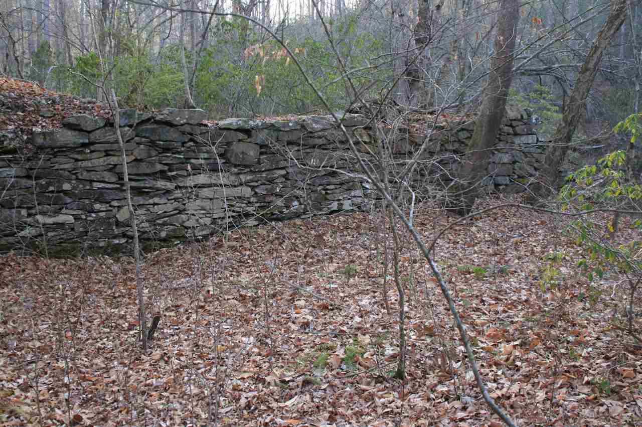1452 Courthouse Road Palmyra, VA 22963 - Photo 32 of 44 a view of a yard with plants and trees