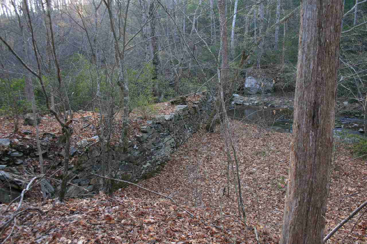 1452 Courthouse Road Palmyra, VA 22963 - Photo 33 of 44 a view of a forest with a tree