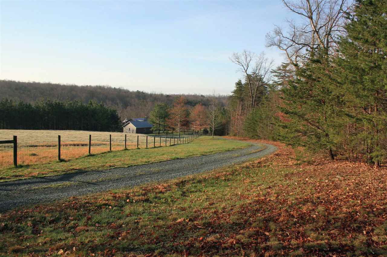 1452 Courthouse Road Palmyra, VA 22963 - Photo 34 of 44 a view of a backyard