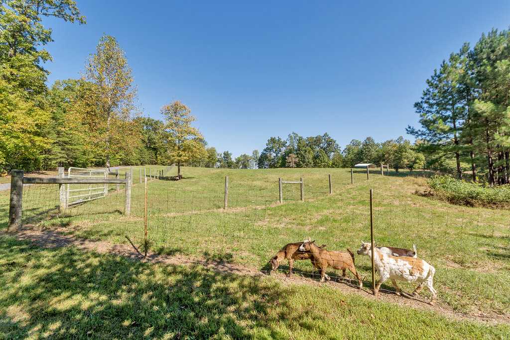 1452 Courthouse Road Palmyra, VA 22963 - Photo 38 of 44 a view of a lake