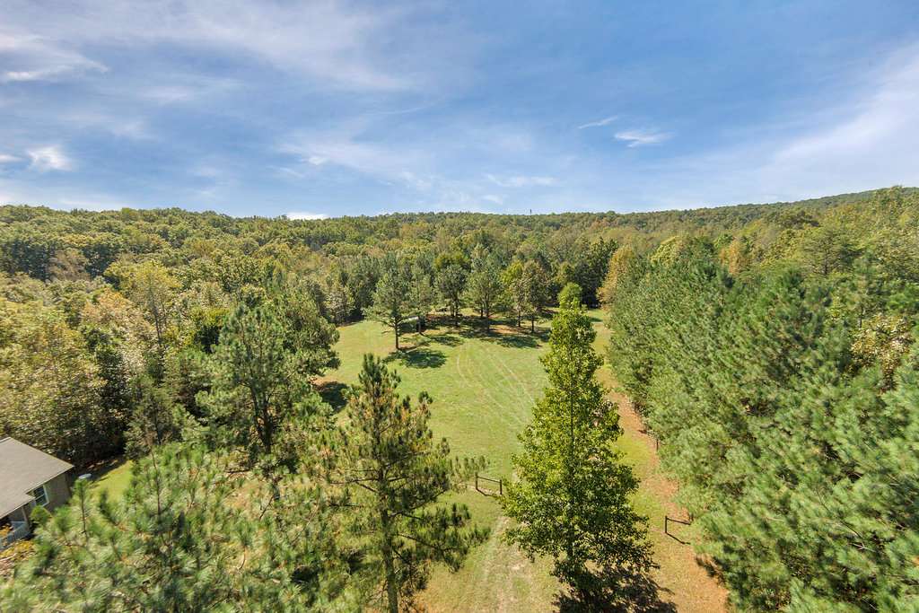1452 Courthouse Road Palmyra, VA 22963 - Photo 10 of 44