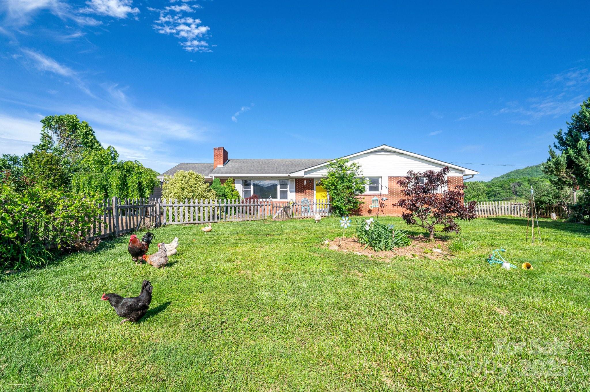 550 Old Newfound Road Leicester, NC 28748 - Photo 3 of 23