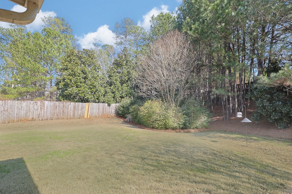 6712 Bridge Way Columbus, GA 31904 - Photo 34 of 36 a view of backyard with plants and trees