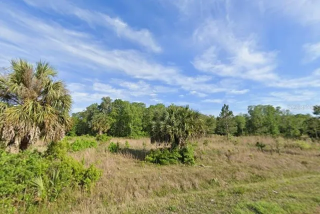 a view of a lake with a yard