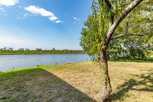 a view of a yard with a tree