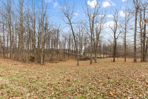 a backyard of a house with lots of trees