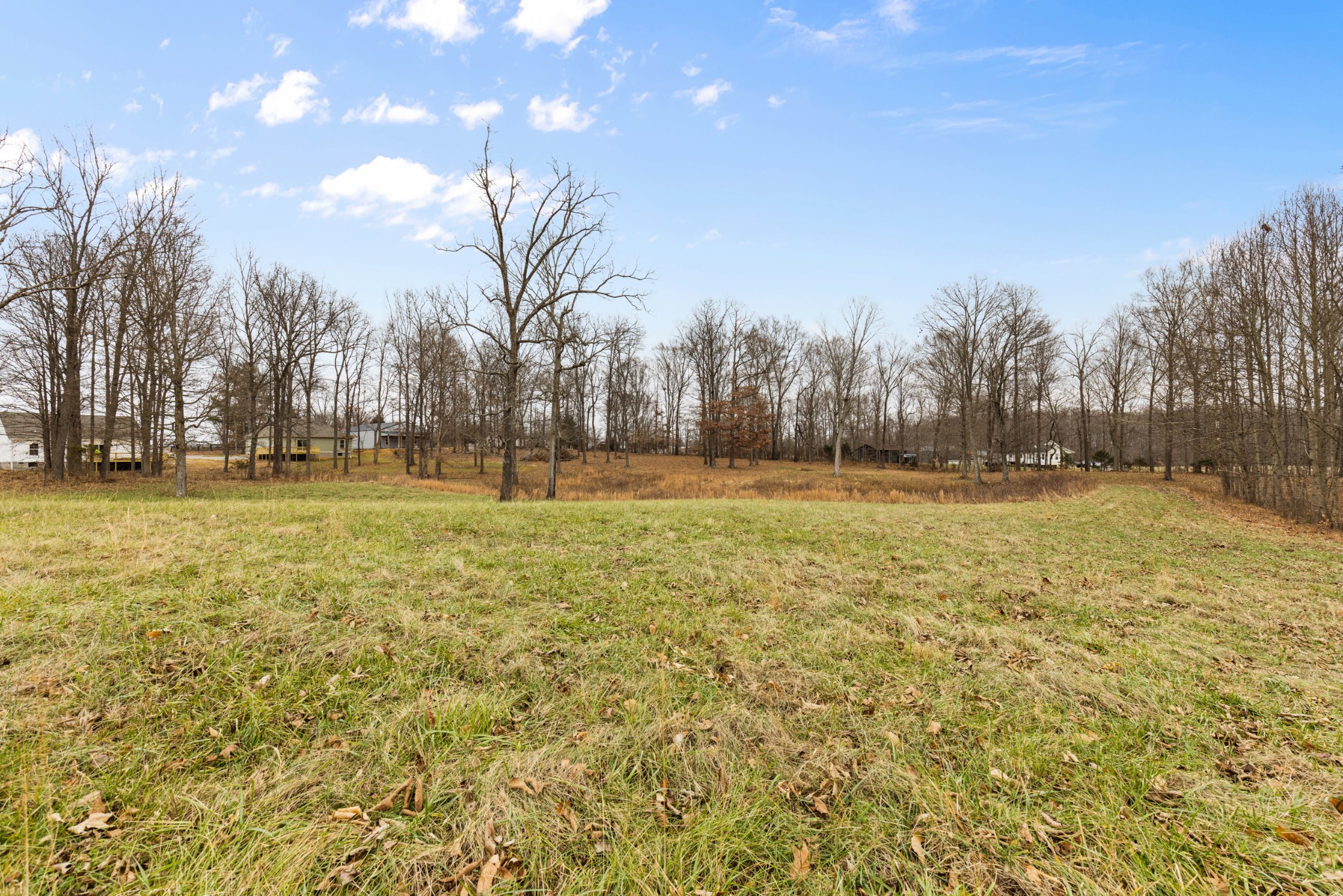 11875 Franklin Road Franklin, KY 42134 - Photo 13 of 21 a view of outdoor space with deck and trees