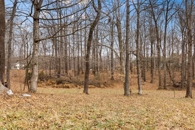 a view of covered with snow