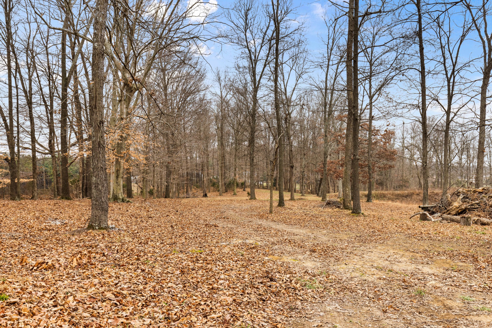 11875 Franklin Road Franklin, KY 42134 - Photo 3 of 21 a street view covered with snow