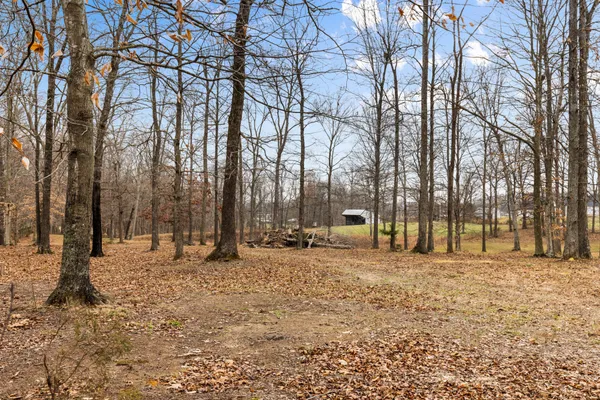 a row of trees with a house in the background