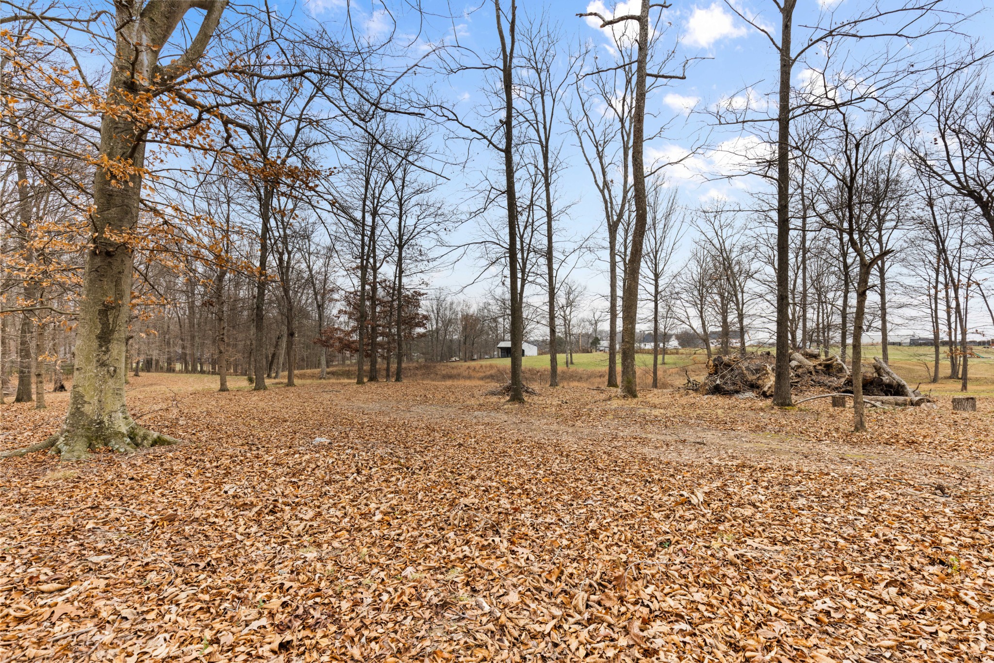 11875 Franklin Road Franklin, KY 42134 - Photo 5 of 21 a view of road with covered with snow