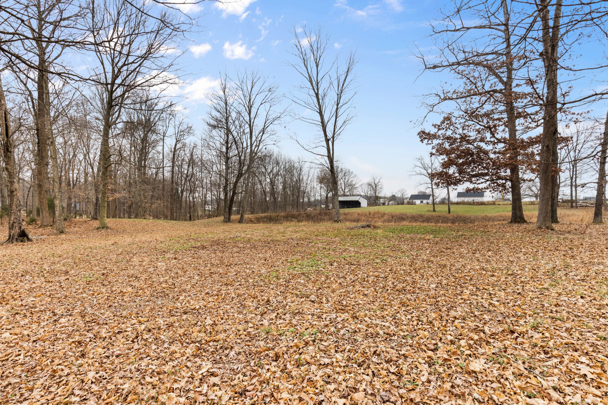 11875 Franklin Road Franklin, KY 42134 - Photo 7 of 21 a view of outdoor space with deck and trees