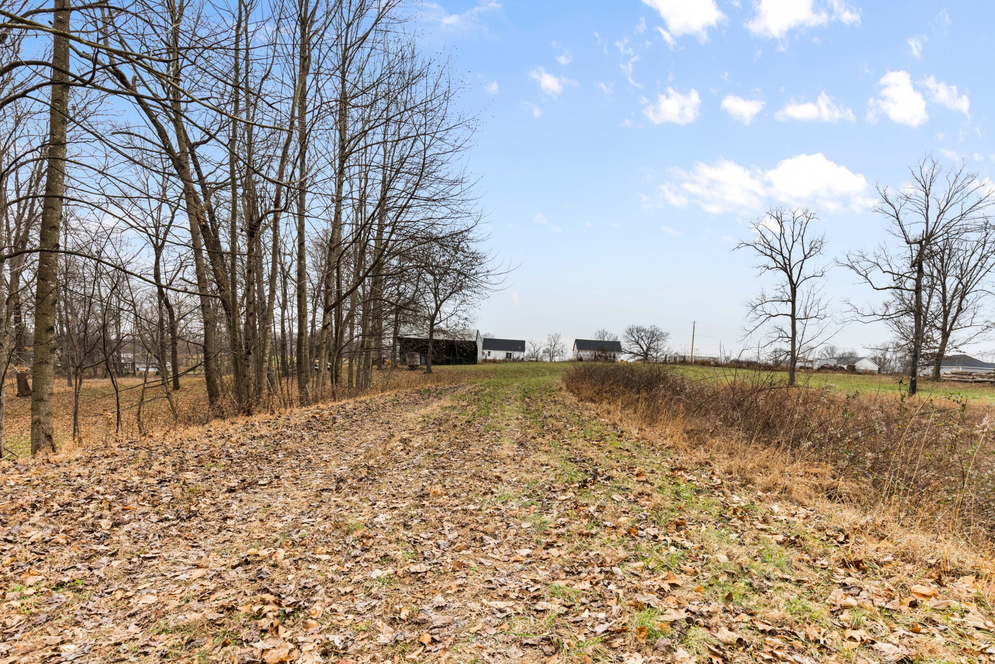11875 Franklin Road Franklin, KY 42134 - Photo 10 of 21 a view of lake with trees