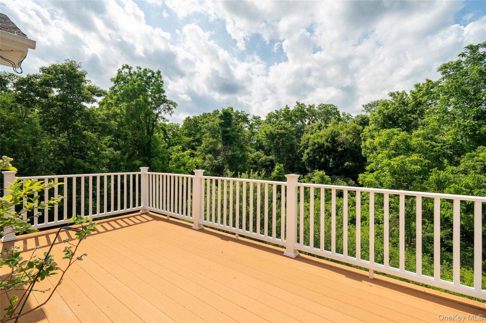 19 Ash Road Wappingers Falls, NY 12590 - Photo 20 of 50