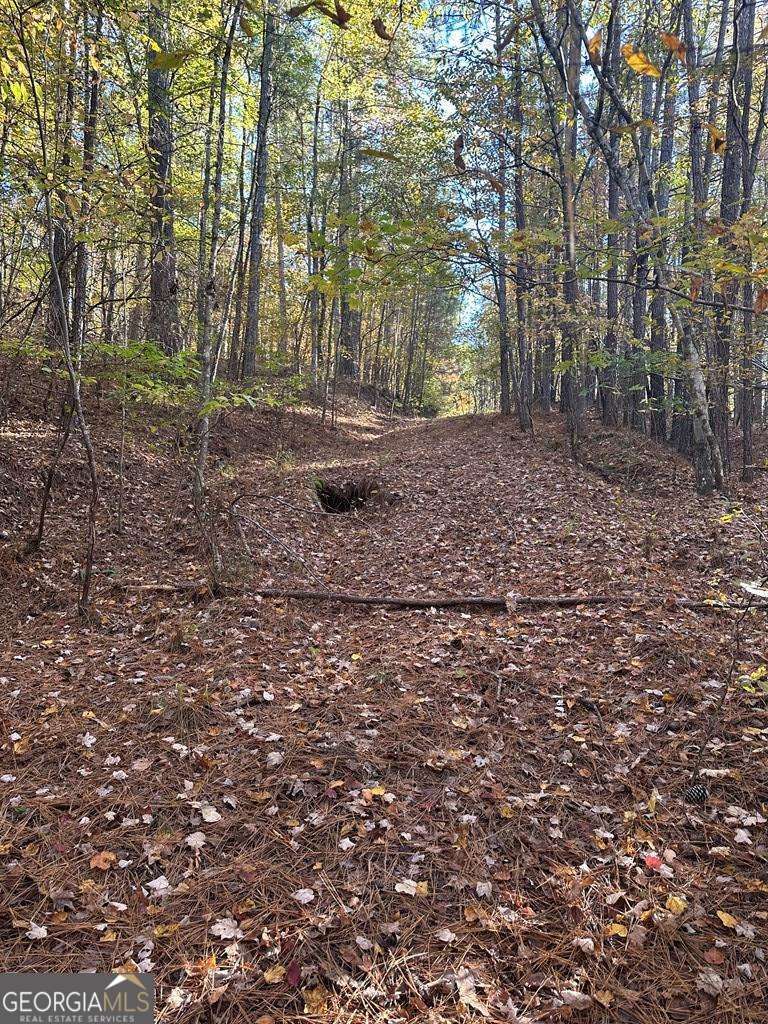 Lot #2 Frontier Shores Road Sparta, GA 31087 - Photo 11 of 15 a view of a yard with trees