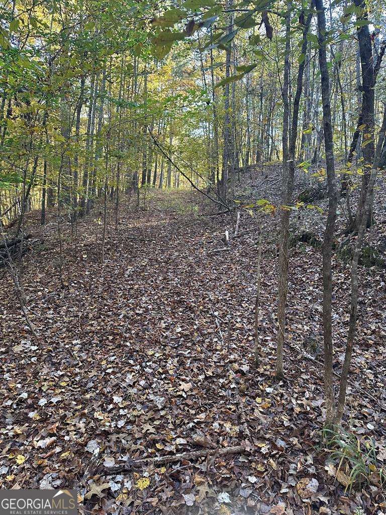 Lot #2 Frontier Shores Road Sparta, GA 31087 - Photo 12 of 15 a view of a yard with lots of trees