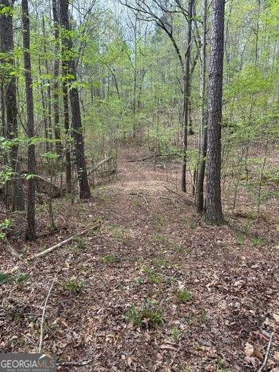 Lot #2 Frontier Shores Road Sparta, GA 31087 - Photo 6 of 15 a view of a forest filled with trees
