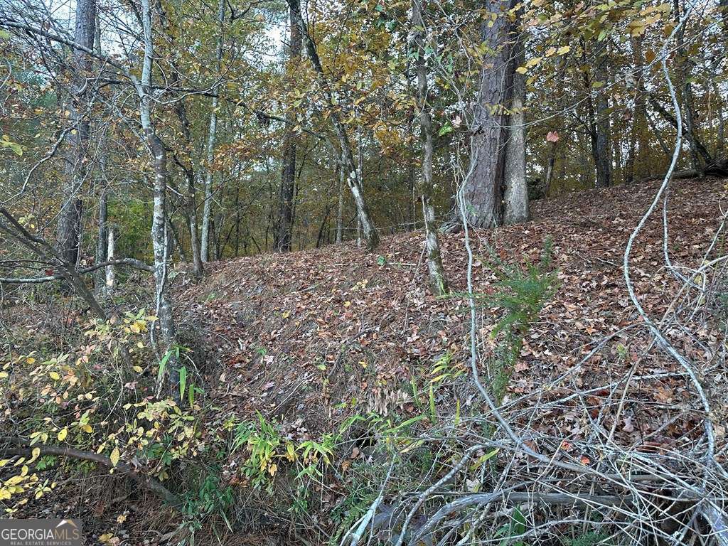 Lot #2 Frontier Shores Road Sparta, GA 31087 - Photo 8 of 15 a backyard of a house with lots of green space