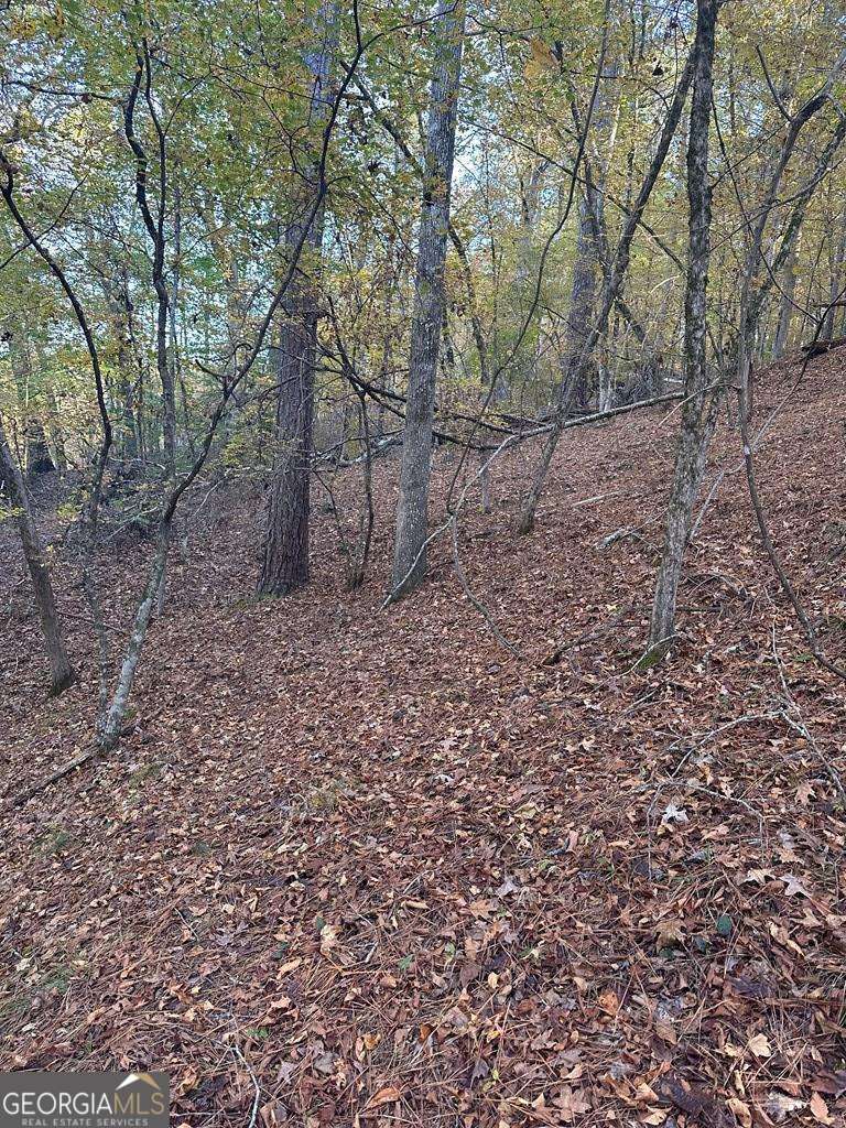Lot #2 Frontier Shores Road Sparta, GA 31087 - Photo 10 of 15 a backyard of a house with lots of green space