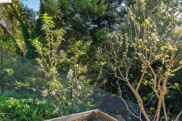 $1,950,000 | 1179 Keith Avenue, Berkeley, CA 94708