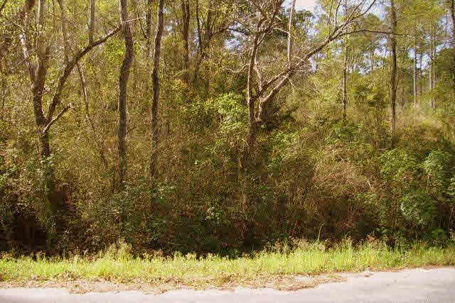 0 Perone Crk Lane Loxley, AL 36551 - Photo 1 of 1