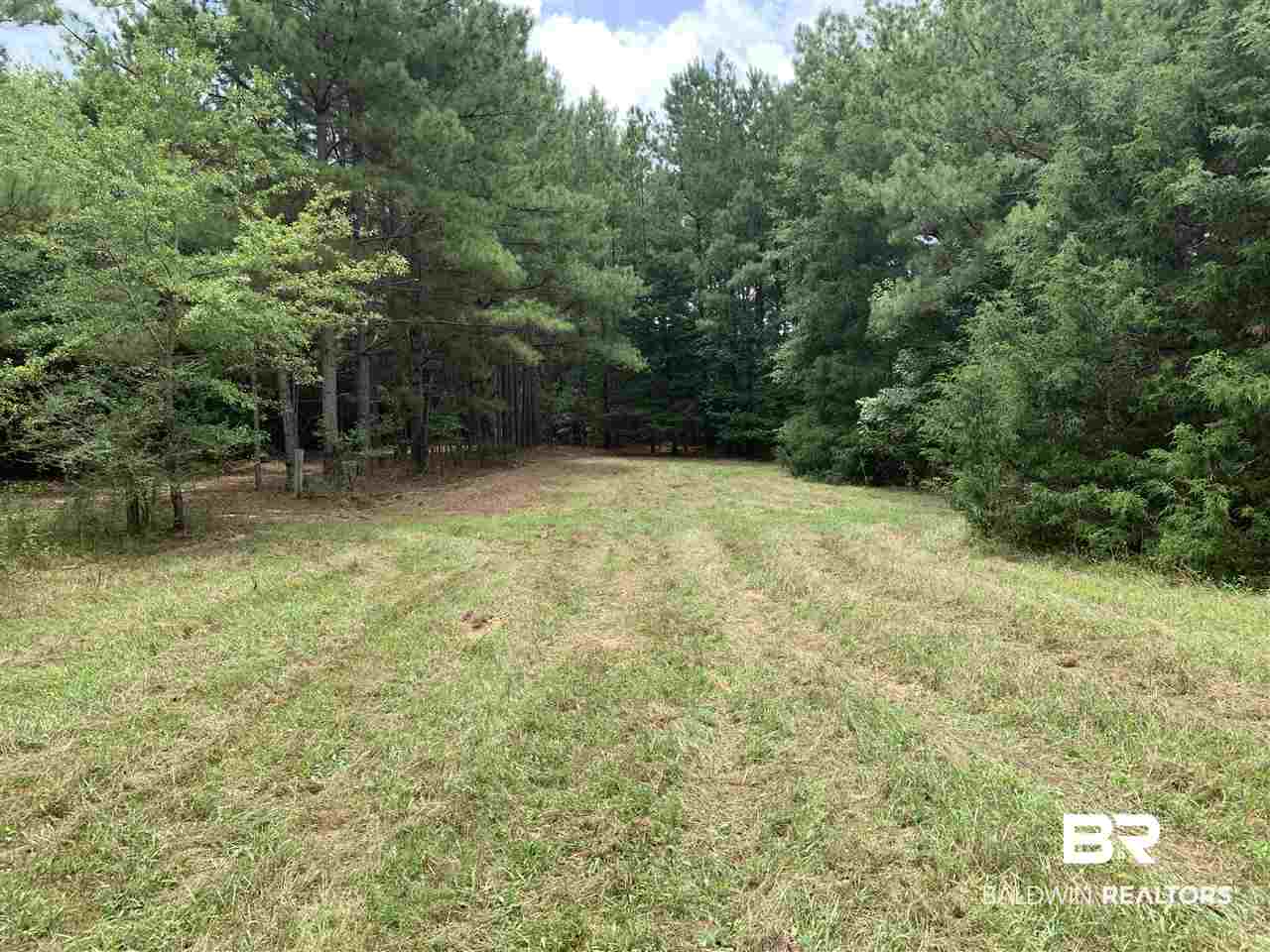1178 Dry Lake Road Luverne, AL 36049 - Photo 19 of 50