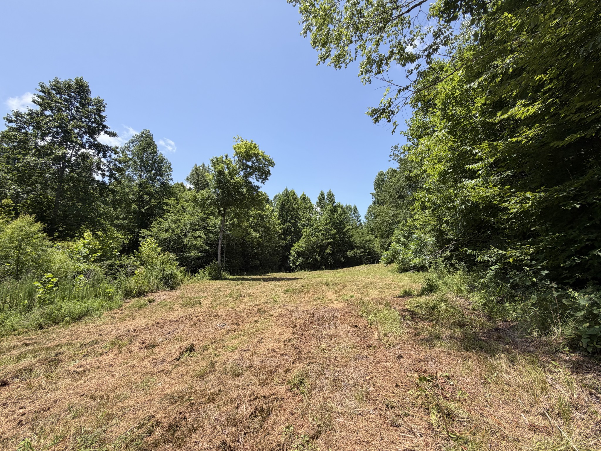 215 Bar Bee Road Hohenwald, TN 38462 - Photo 15 of 51