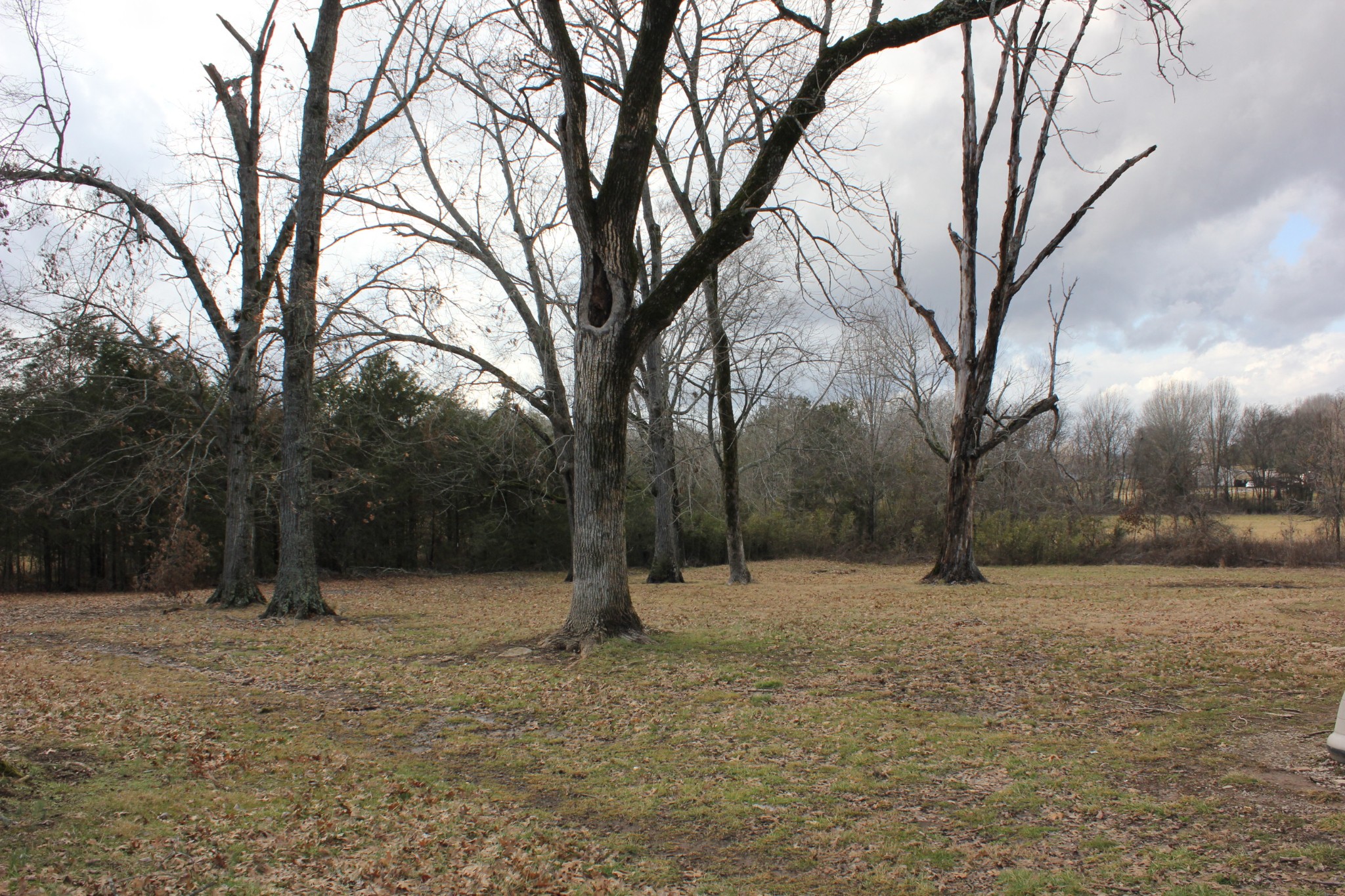 1085 Reese Road Lewisburg, TN 37091 - Photo 27 of 29 Gallery Image 27