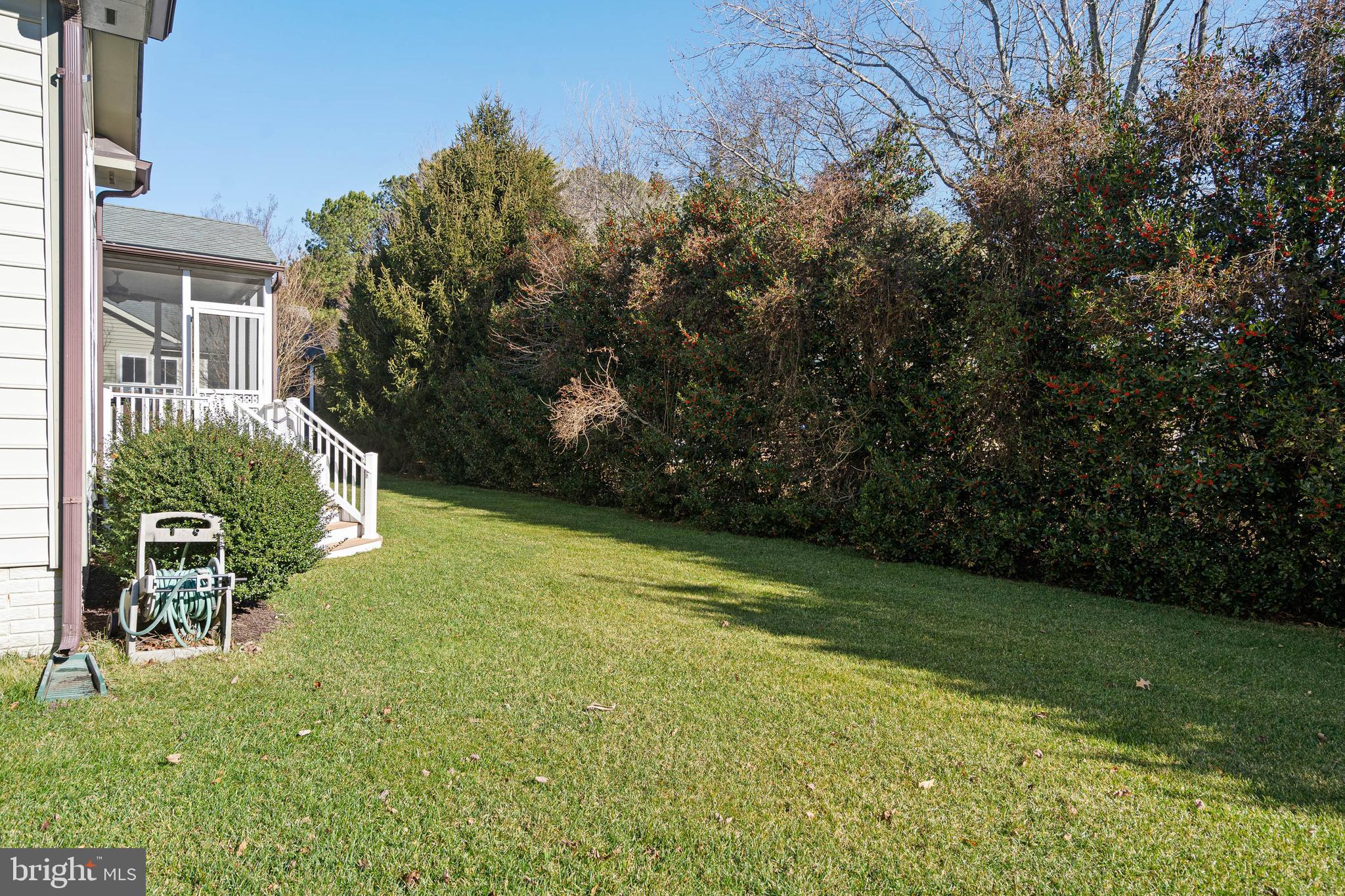 31823 Skimmer Road Ocean View, DE 19970 - Photo 36 of 52 Back Yard w/ Mature Holly Bushes