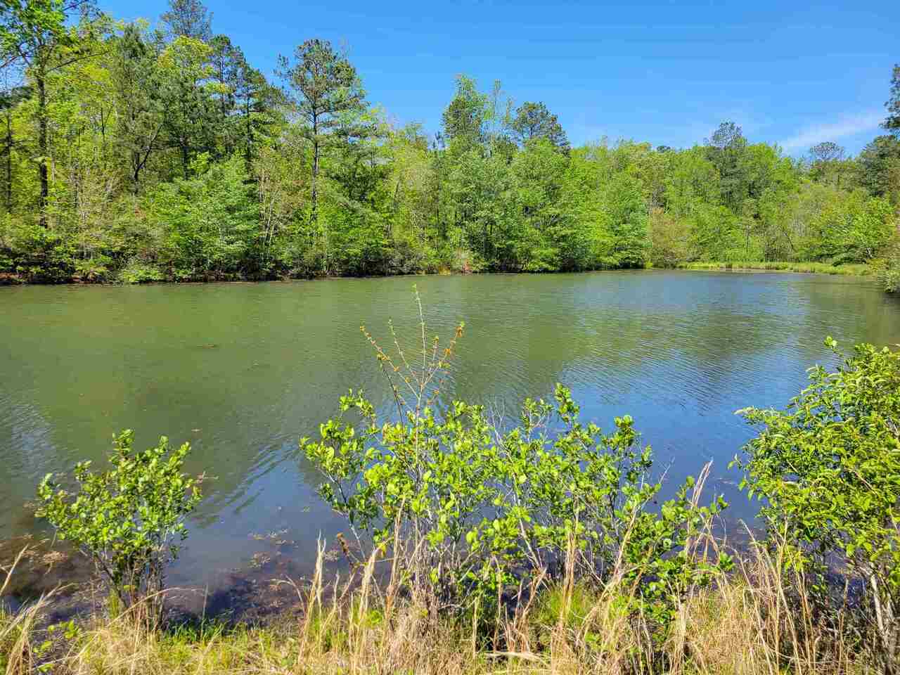 405 Lone Oak Road Grantville, GA 30220 - Photo 1 of 1 Gallery Image 1