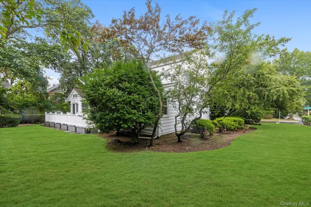 a view of a backyard with plants and a bench
