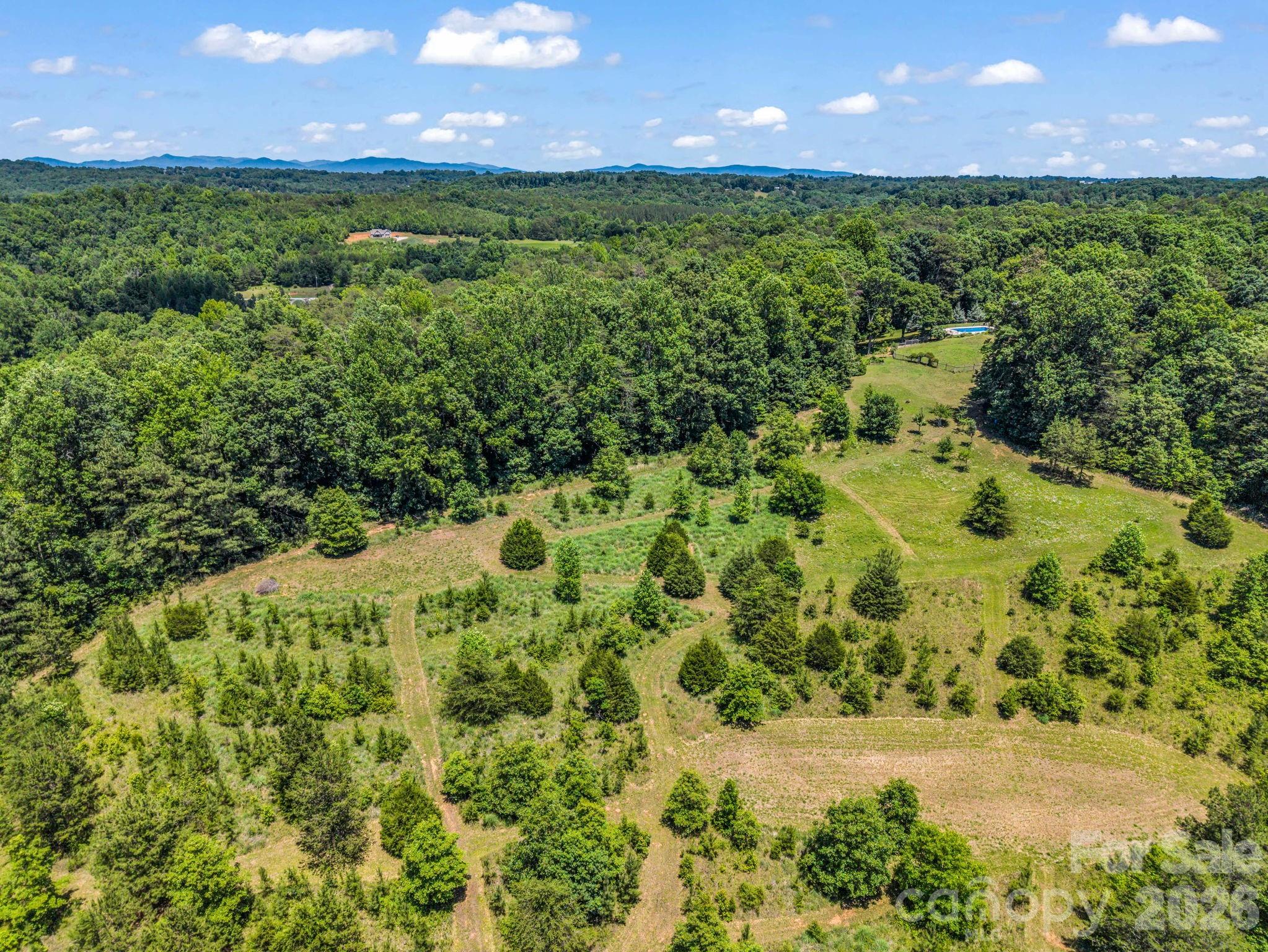 590 Miller Road Rutherfordton, NC 28139 - Photo 4 of 48
