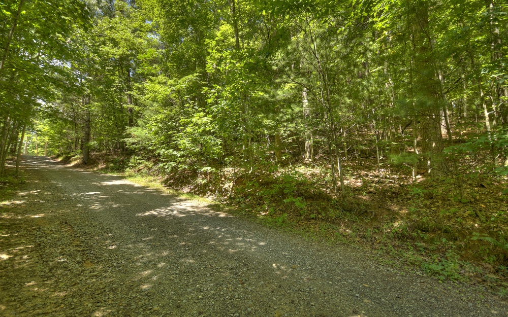 Turning Lay Creek Road Morganton, GA 30560 - Photo 4 of 4 Additional View