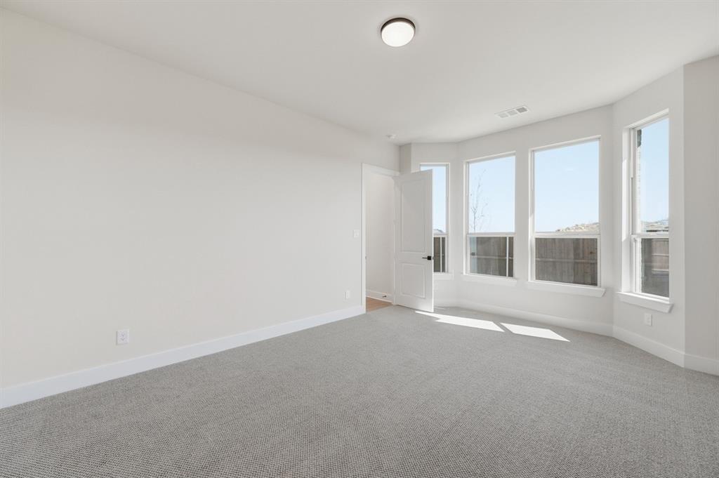 1025 Alberta Spruce Road Justin, TX 76247 - Photo 17 of 30